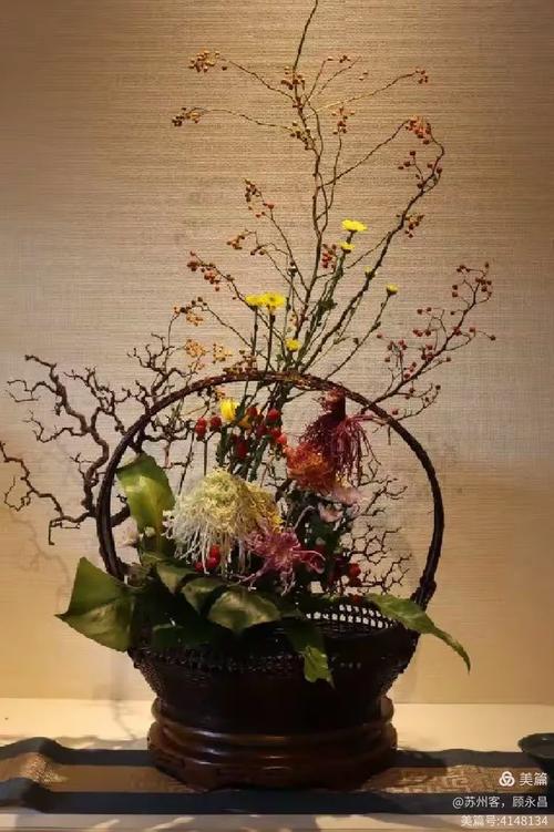 《金风玉露-菊韵苏城》苏州四大名园菊展集锦