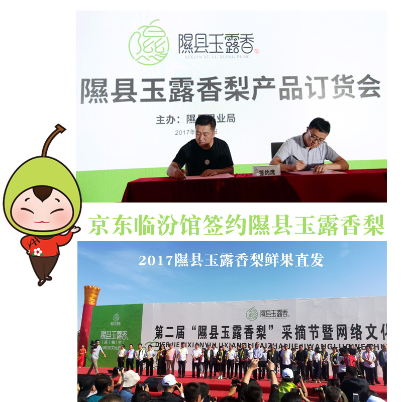 中国第一梨,隰县玉露香梨[哇]百里挑一,因"味